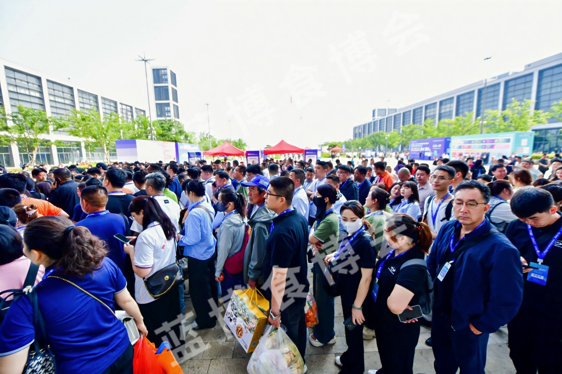 创新引领未来，合作共赢发展! 2025第二十二届中国(青岛)食博会圆满闭幕