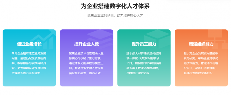 讲真：引领企业数字化转型与人才培养的新篇章