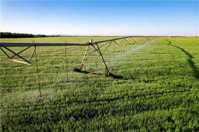 沙漠中的绿色经济，特仑苏打造“点沙成金”的乳业样板工程