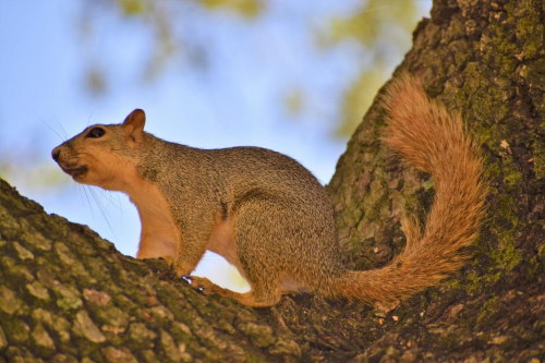 跟踪冷链与液冷技术，卢斌关注磁悬浮压缩机国产化进展