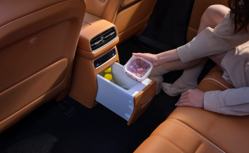 20万内，想买性价比高的大尺寸SUV，选东风奕派eπ008就对了