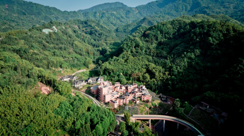 业界聚焦周公山：新旅游视角下，文旅如何深度赋能乡村振兴？