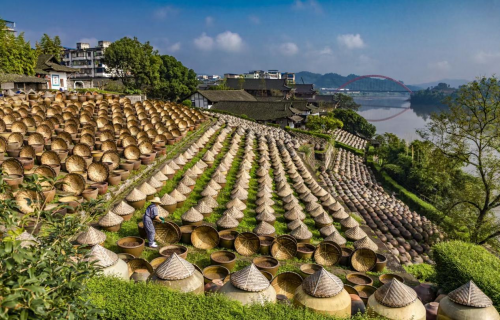 中国酱油活化石先市酱油，600 口陶缸微生物的传承密码
