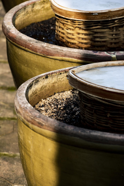 中国酱油活化石先市酱油，600 口陶缸微生物的传承密码