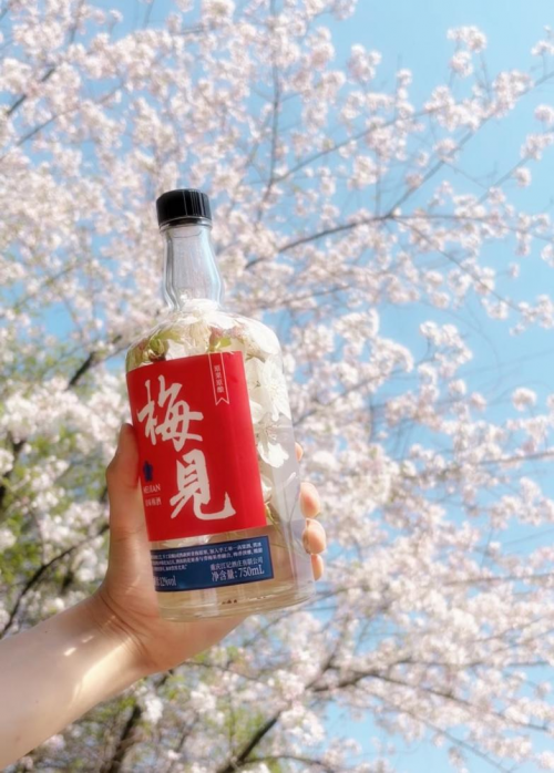 暴雨后的西湖是一个巨大的lalaland，一起喝好酒梅见青梅酒