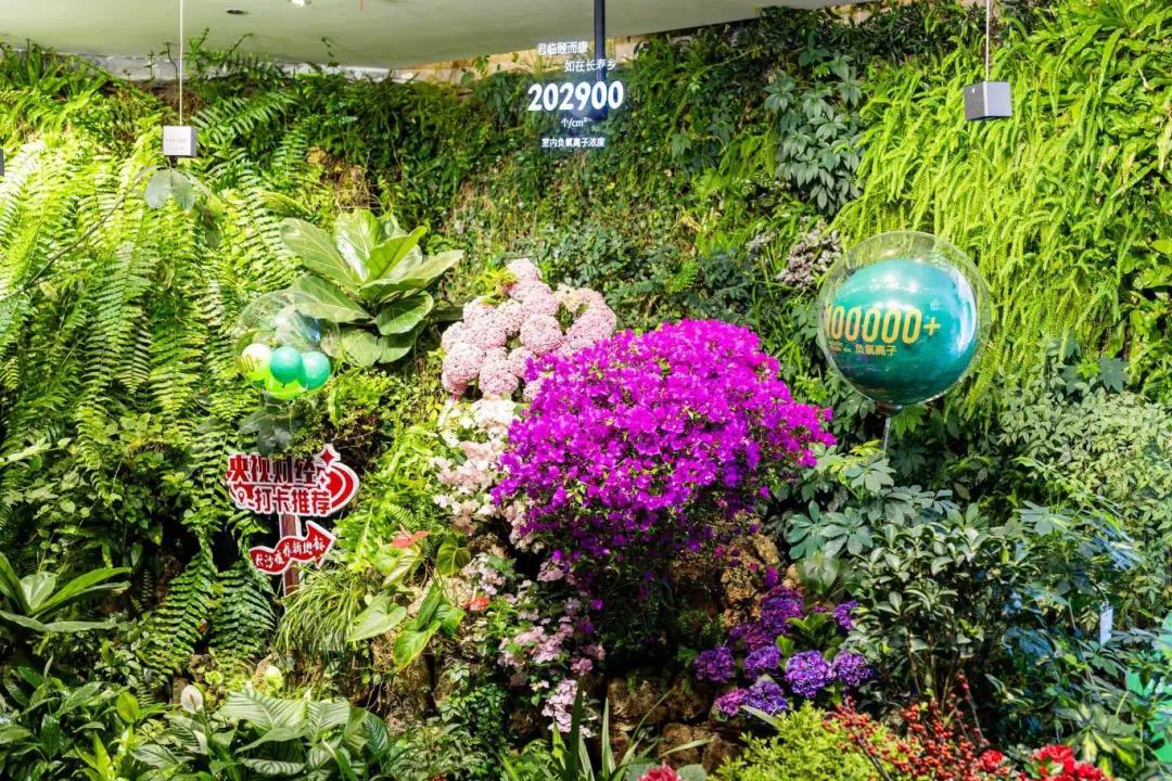 全国首个！不出城也能进“森林”