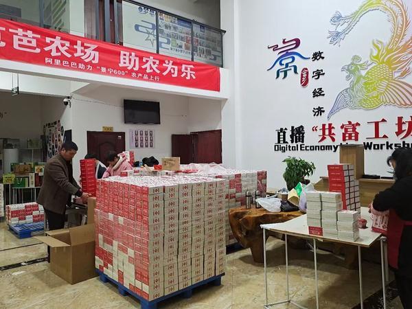 浙江景宁50岁生姜种植农户19天卖出10万单 阿里“新农人”计划6大举措带动村民致富