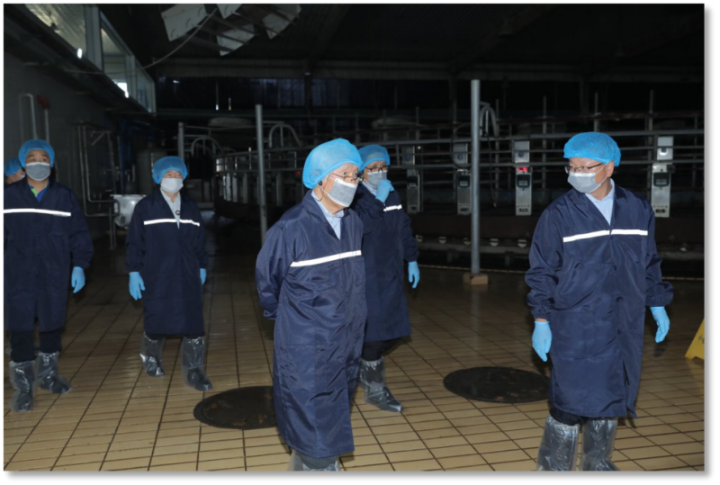 君乐宝威县一牧通过TPM优秀奖初审 牧业精益管理实现里程碑式突破