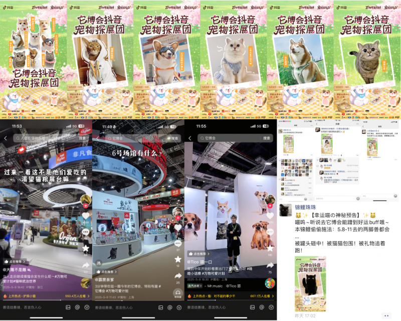 萌力觉醒超能力！抖音「宠友联萌季」X「万物可爱计划5.0」，将毛孩子“宠上天”