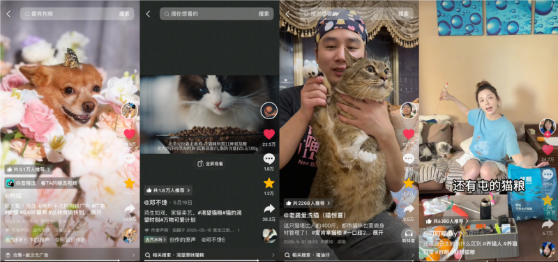 萌力觉醒超能力！抖音「宠友联萌季」X「万物可爱计划5.0」，将毛孩子“宠上天”