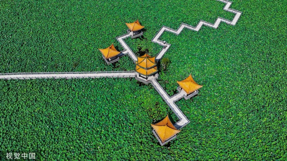 视觉中国：镜头下的活力盛夏