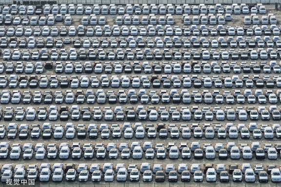 视觉中国：镜头下的活力盛夏