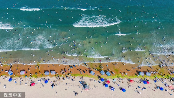 视觉中国：镜头下的活力盛夏