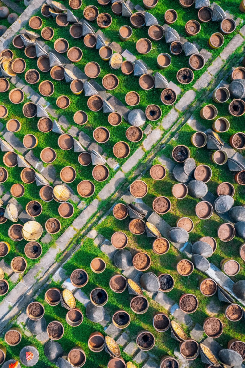 解码赤水河酿造传奇：6000 口酱缸与微生物的世纪共生密码