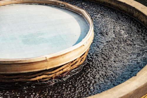 解码赤水河酿造传奇：6000 口酱缸与微生物的世纪共生密码