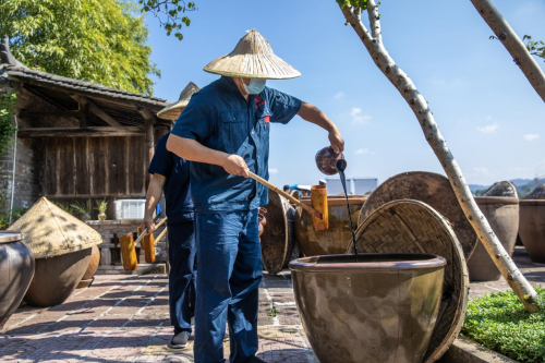 解码赤水河酿造传奇：6000 口酱缸与微生物的世纪共生密码