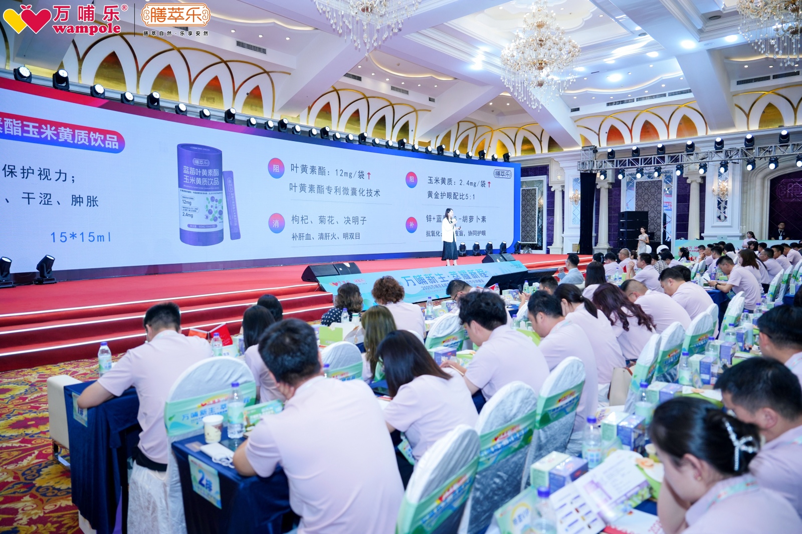 双星共耀，2025万哺乐&膳萃乐“万哺新生・萃耀新程”战略峰会开启母婴营养新纪元