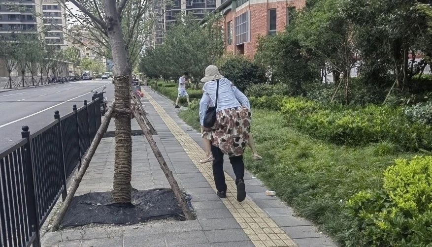 高温下的暖心守护：太平洋房屋经纪人化身"社区清凉使者"