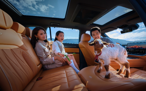 启源Q07vs东风奕派eπ008：谁才是20万内大5座SUV的空间与舒适标杆？