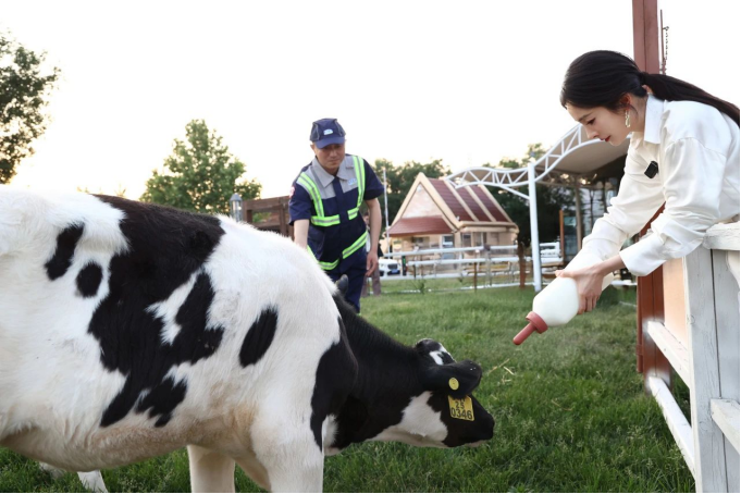 君乐宝奶粉&杨幂·观影季邀请全国万名懂配方的妈妈 让全面成长理念走进千万家