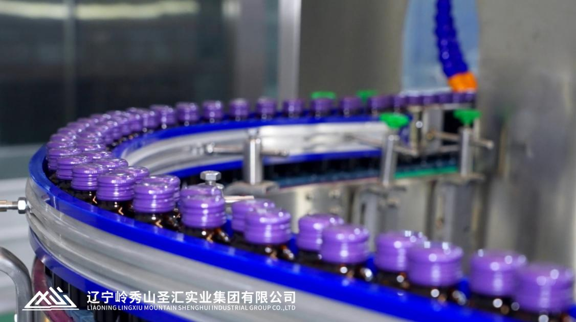 马来西亚商界青年辽宁商业考察团到访岭秀山圣汇集团 共话大健康产业合作新机遇