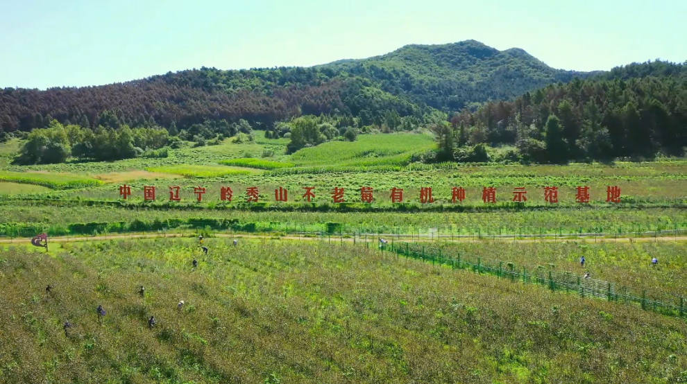 马来西亚商界青年辽宁商业考察团到访岭秀山圣汇集团 共话大健康产业合作新机遇