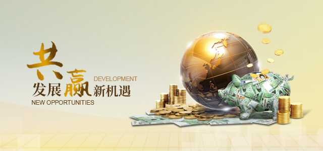 多元化产业布局成型，睿盛环球拓展新增长曲线