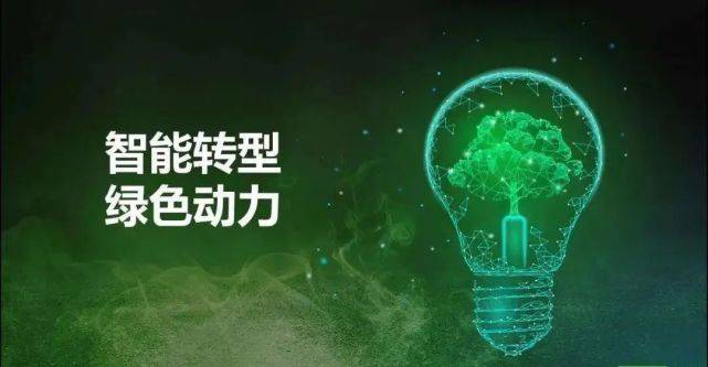 全球经济新格局下的睿盛环球机遇与突围之道