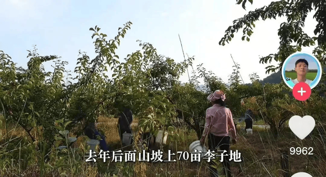 现实版“谢之遥”：一个95后青年和一座四川山村的相互“点亮”