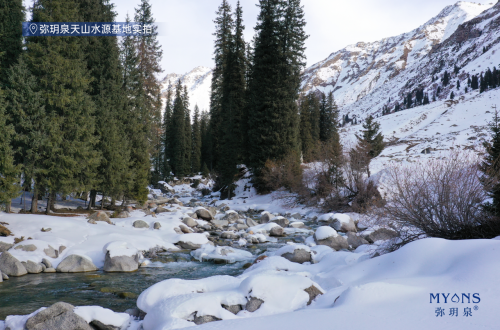 ​联萌伊犁鼠兔，弥玥泉用天山基因为品牌赋能