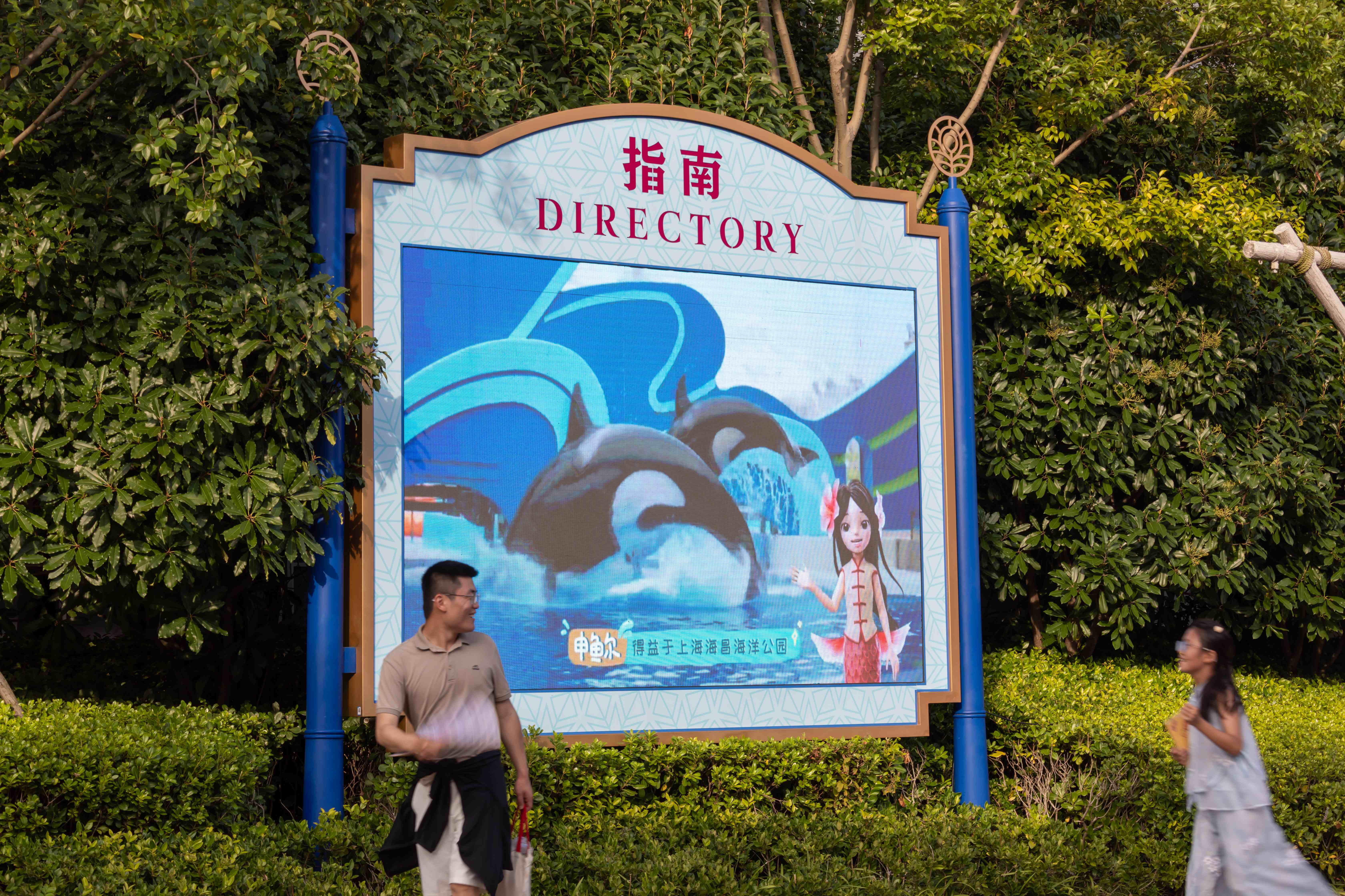 一条数字美人鱼,如何焕活上海海洋文化?