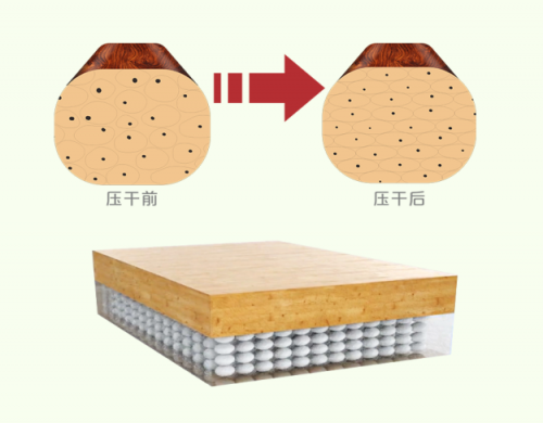 告别实木地板变形烦恼！大自然仿生恒稳技术终结难题