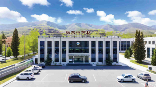 深耕 GAP 二十载!振东中药材打造山西道地药材样本