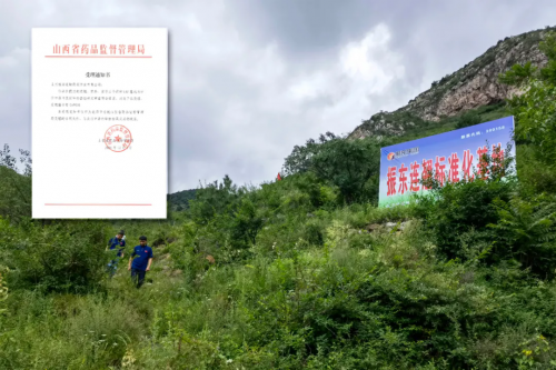 深耕 GAP 二十载!振东中药材打造山西道地药材样本