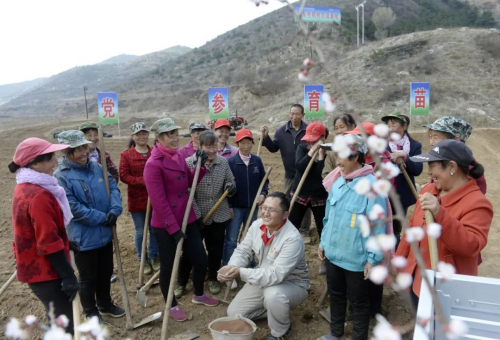 深耕 GAP 二十载!振东中药材打造山西道地药材样本