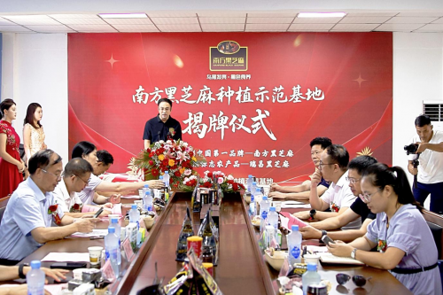 南方黑芝麻种植示范基地瑞昌揭牌：全产业链布局再升级