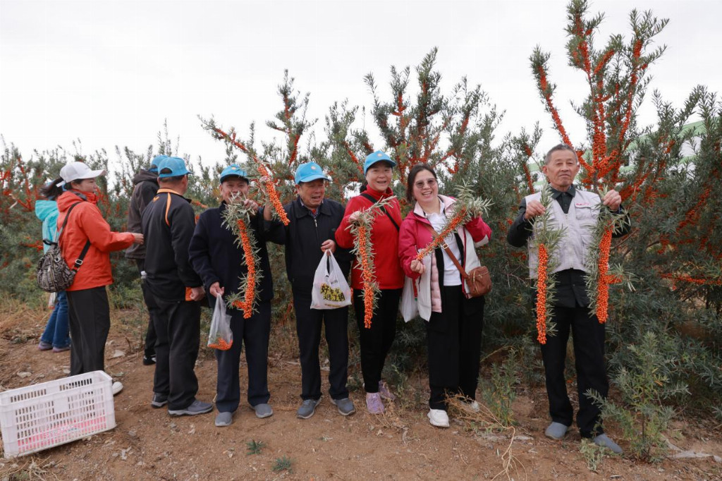 “中梦极原”就爱你“920”沙棘健康节盛大启幕——共庆中国沙棘开发40周年，喜迎2025阿勒泰大果沙棘采收