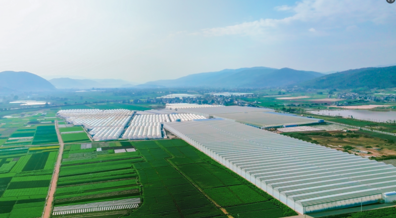 春沐源科技农业CEO赖赣峰出席亚洲国际果蔬展圆桌会议 阐述现代科技农业发展新理念