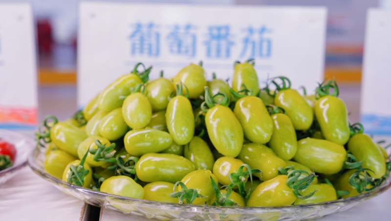 春沐源科技农业CEO赖赣峰出席亚洲国际果蔬展圆桌会议 阐述现代科技农业发展新理念