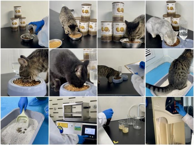 亚洲宠物展圆满收官，鲜芙新品革新上市！