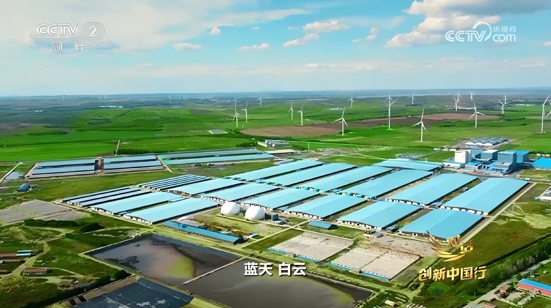 1758174333802911.png WPS图片(1)2.png