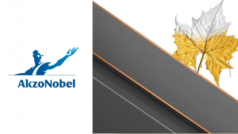 素派门窗好产品+好服务，成就区域门窗行业典范