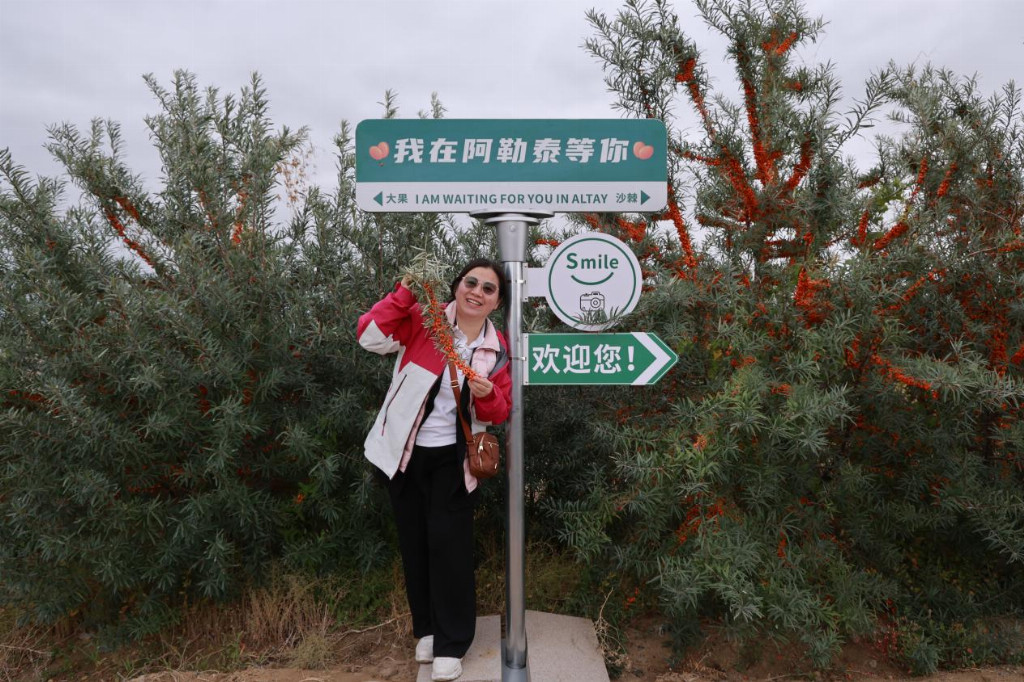 “中梦极原”就爱你“920”沙棘健康节盛大启幕——共庆中国沙棘开发40周年，喜迎2025阿勒泰大果沙棘采收