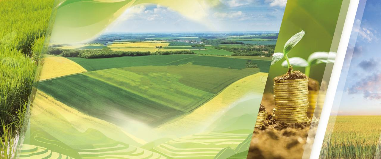 新创人以Web3.0技术重构生态平台，提升全球市场连接力与抗风险能力