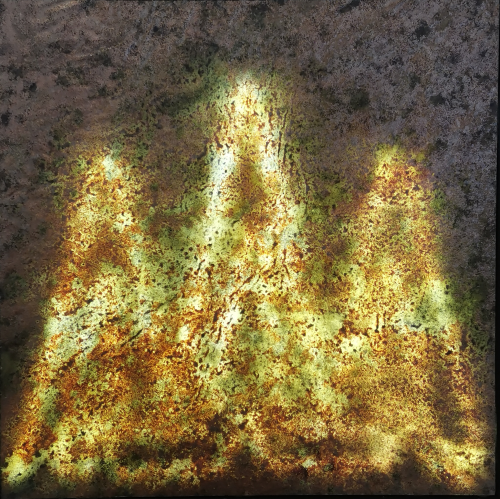 【特刊】从巴黎到上海：宝华骆艺术震撼亮相艺术上海国际博览会