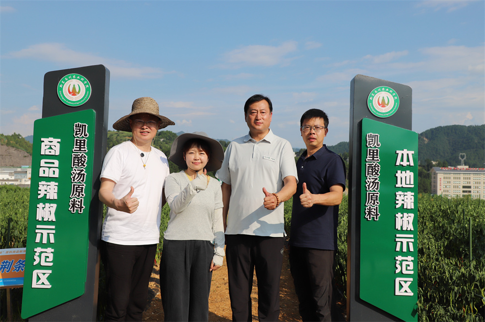 新希望味业与贵州凯里市政府签订酸汤产业合作协议, 红酸汤火锅底料山姆上市!