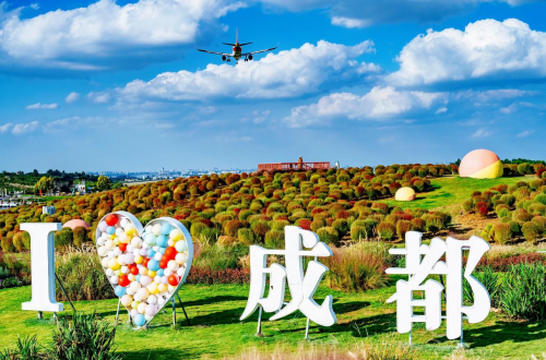 @成都人，粉黛+地肤，空港花田给你独属的秋日浪漫！