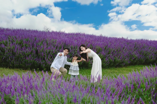 @成都人，粉黛+地肤，空港花田给你独属的秋日浪漫！