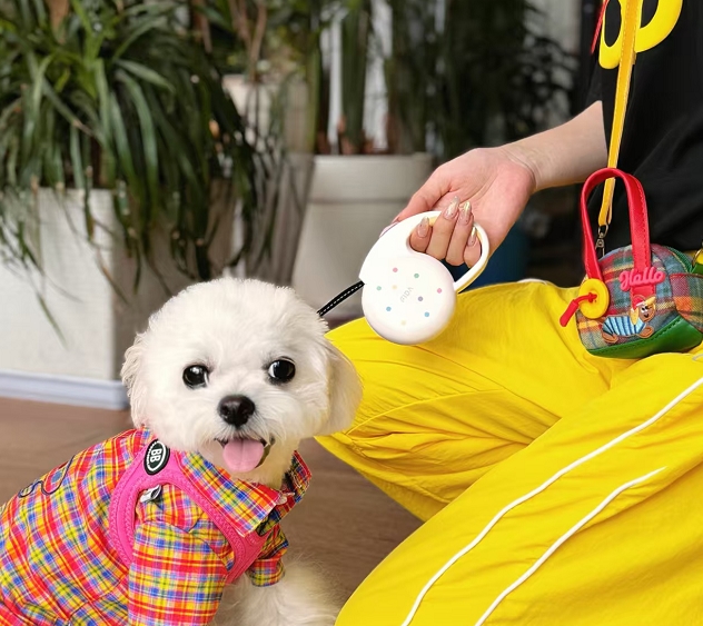 2025情绪经济兴起 第33届深圳礼品家居展看礼业新风向