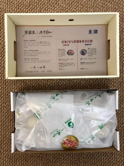 从枝头到舌尖的匠心守护 ——“一枣一世界”品质全程把控